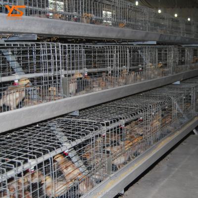 China Durable One Layer Broiler Day Old Chicks Used Automatic Chicken Cage for sale