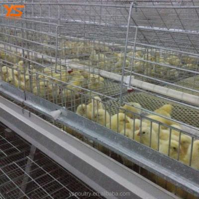 China Save Space Small Chick Battery Cages Used In Chicken Farm for sale