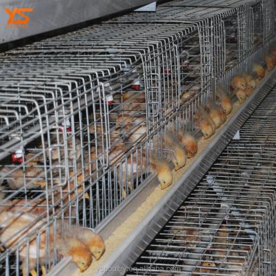 China Long life 2017 new design chicken cage for 1 day old chicks for sale for sale