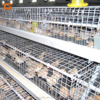 China Durable Small Chicks and Pullets Fully Automatic Battery Cages for Sale for sale