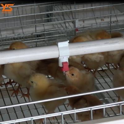 China Save Space Animal Pullet Cage With Hot Dip Galvanized Wire Mesh for sale