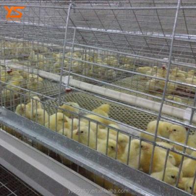 China Durable Low Carbon Content Q235 Steel Day Old Chicks Cage Design For Poultry Farm for sale