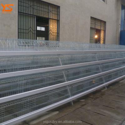 China Durable Design Complete Poultry Chicken Farm Cage for Broiler and Breeder for sale