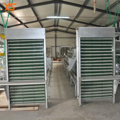 China Fully Automatic Poultry Field Price Poultry Chicken Farm Best Egg Collecting Machine for sale