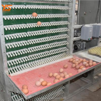 China Easily Install Poultry Farming Equipment Battery Chicken Egg Collecting Machine for sale