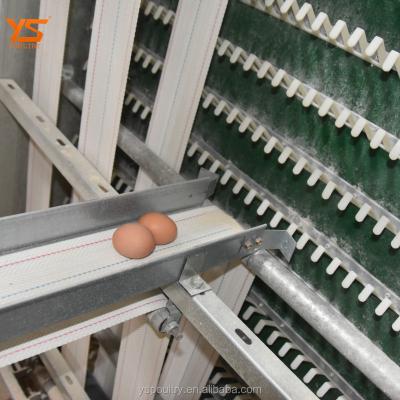 China Easily Install Layer Chicken Automatic Egg Collect Machine For Poultry Farm Equipment for sale