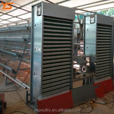 China Full Automatic Poultry Field Low Price Egg Collector For Poultry Cage for sale