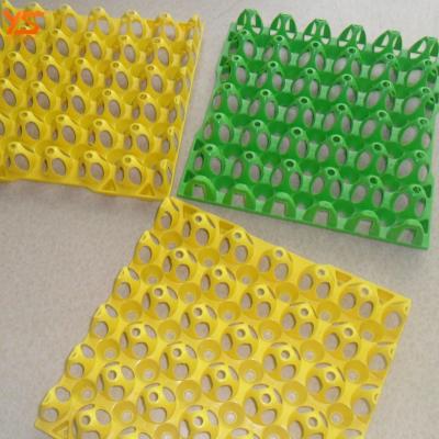 China High Quality Eco - Friendly Plastic Egg Crate Chicken Egg Trays For Transportation for sale