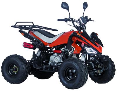 China Chain Drive 4wd China 4x4 Atv Quad ATV 110cc 125cc Gasoline Air Cooling For Adults ATV 2.5L Steel for sale