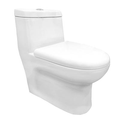 China Goodone Modern Modern Round Sleek Design S Trap Double Siphonic Flush One Piece Toilet for sale