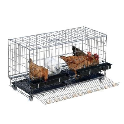 China New Design Viable Custom Wire Cage Chicken Poultry Cage Egg Breeding Equipment Layer Cage for sale