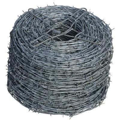 China Factory price high quality large protection galvanized barbed wire fencing galvanized barbed wire for sale