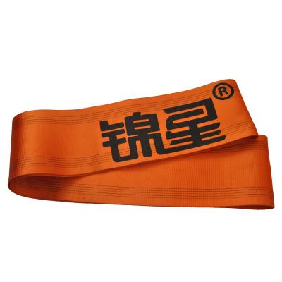 China Factory Supply 100% Polyester Webbing Sling 3 Ton 5 Ton 10 Ton Polyester Round Webbing Sling Lifting Sling Belt for sale