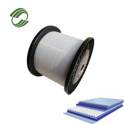 China High Strength Anti Static Low Elongation Pet Filament For Broom 0.08mm-0.3mm Diameter for sale