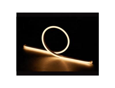 China Hot Sales 24V Durable LANDSCAPE Vertical Bending Waterproof 8x17mm Flat Shape Silicone LED Neon Light 5W 2700K for sale