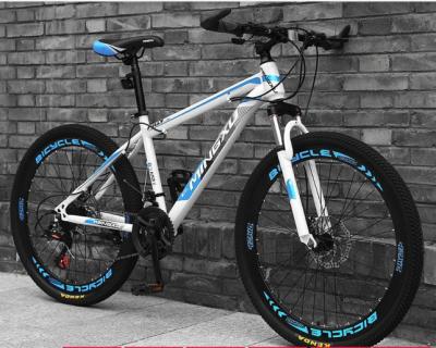 China Cheapest high quality 21 speed steel adult mountain bike for sale