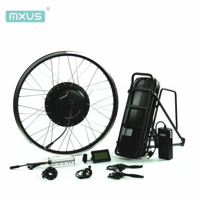 China 48V 1000W lithium ion backup battery for electric bike optional for sale