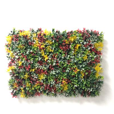 China Lucky Grass Balcony Decoration Boxwood Hedge Tropical Matching Outdoor Fence Grass for sale