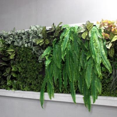 China Durable Art Design Artificial Grass Plant Combination Framed Plants On Wall Support LGH15-17 for sale