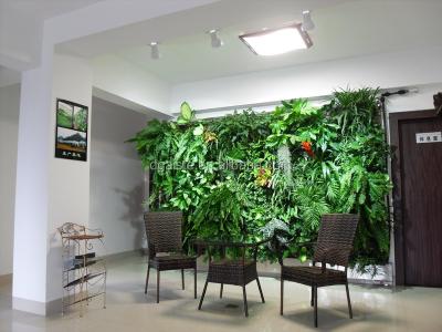 China Office Indoor Green Wall Succulent Plant Or Leafy Plant Combination With Soft Moss Rack for sale