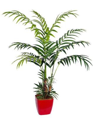 China Brand Fiberglass Decorative Artificial Bonsai Tree Areca Palm for sale