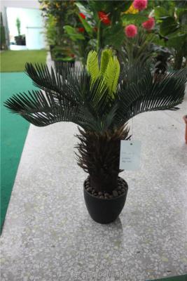 China Artificial Park Plant Cycas Synthetic Potted Bonsai Cycad Tree for sale