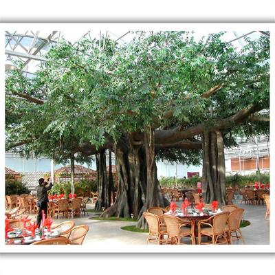 China Hot Selling Artificial Fiberglass Banyan Tree With Real Wooden Trunk Tall Artificial Trees for sale