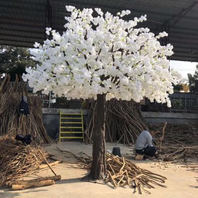 China Event Announced Decoration Wedding Tropical Cherry Tree Blossom White Flower Tree Artificial for sale