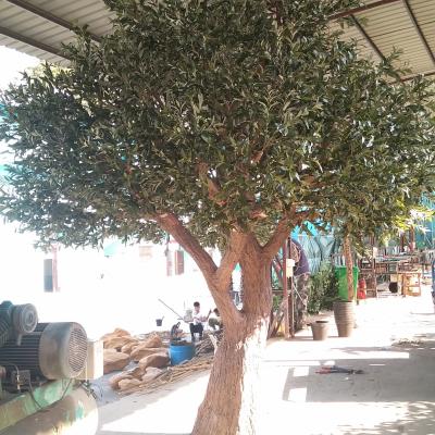 China Dongguan Este LGH 15-03 Factory 4m Tall and Indoor Fiber Plant Artificial Fake Olive Tree for sale