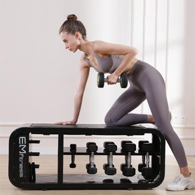 China Modern Multi function benches home gym fitness training equipment Adjustable Dumbbell storage fitness bench for sale