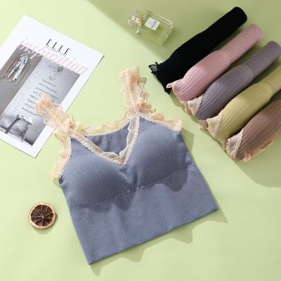 China New Lace Back Strap Breathable Cotton Bra Women's Vest Comfortable And Breathable Underwear for sale