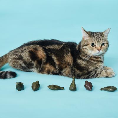 China High Quality Viable Mature Wooden Polygonum and Catnip Cat Toy for sale