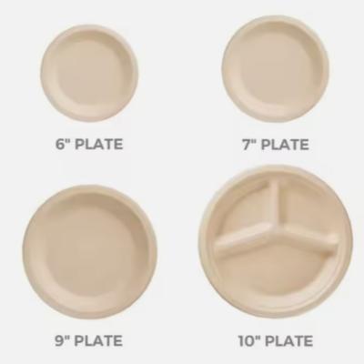 China 10 Inch * 3Gird  Bagasse Round Plate Compostable Sugarcane Plates for sale