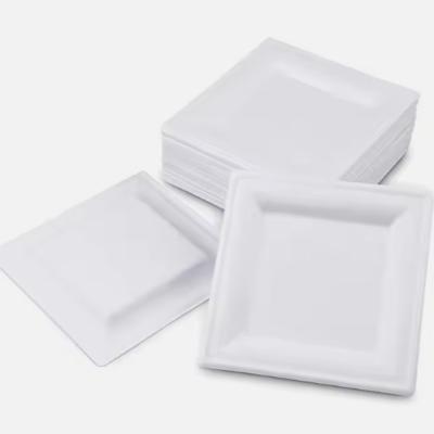 China Placas de papel de 10 pulgadas cuadradas de microondas placas de equipaje desechables compostables en venta