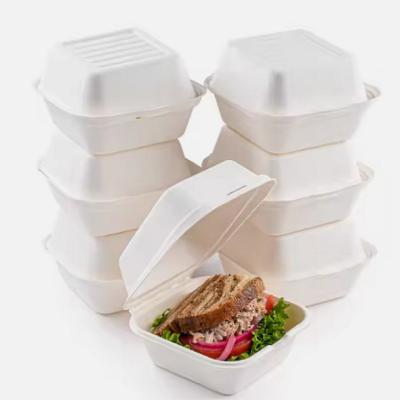 China Caja de comida de celda única de equipaje de equipaje desechable Contenedor de alimentos de 8 pulgadas en venta