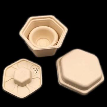 Chine Voyage hexagonal compostable poudre à thé jetable de maïs d'amidon à vendre