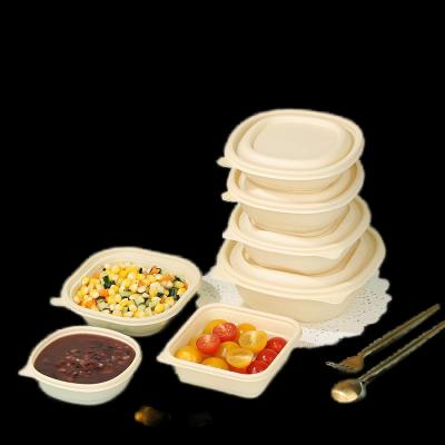 China Biodegradable Corn Starch Food Container Restaurant To Go Boxes 450ML for sale