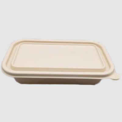 Chine Résistance à la chaleur Eco-friendly To Go Contenants Rectangulaires jetables Contenant alimentaire OEM à vendre