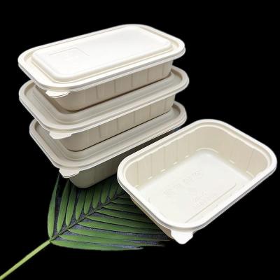 China Customizable Compostable To Go Containers 380ml/500ml/650ml/750ml/1000ml for sale