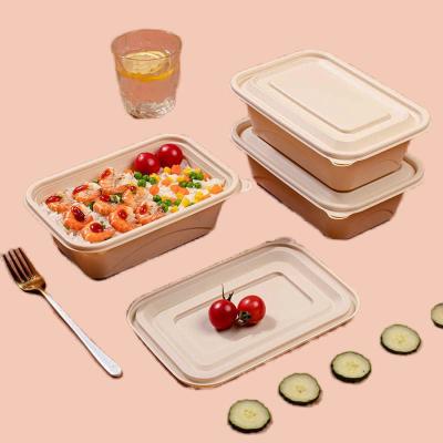 China Natural Color Compostable Lunch Containers Leak Proof 1000ML for sale