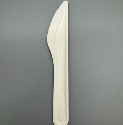 中国 Eco Friendly Compostable Degradable Disposable Sugarcane Bagasse Paper Pulp Knife 販売のため