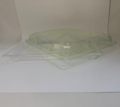 China PLA Biodegradable Packaging Container Customized Size Logo Disposable Plastic Traywholesale Serving Trays PLA Food Tray for sale