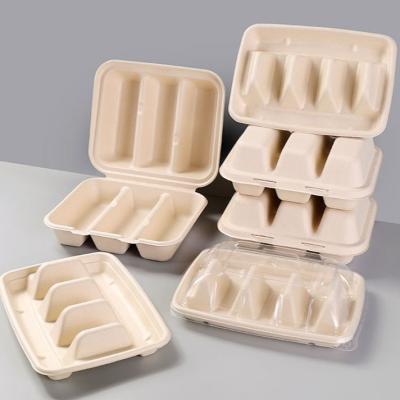 China Cuadro de tacos 3 compartimientos Caja para llevar Caña de caña de azúcar biodegradable en venta