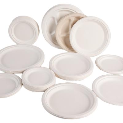 China Conjunto de vajilla desechable de pasta de caña de azúcar de caña de azúcar de papel vajilla de mesa cuadrada redonda ovalada plato Bagasse en venta