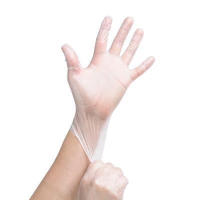 China Water Proof Water Proof Powder Free Vinyl Disposable Gloves for sale