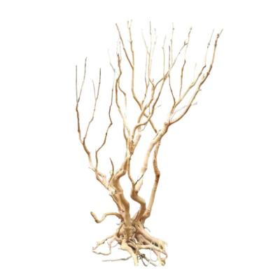 China Natural Viable Decorative Driftwood Rhododendron Tree Aquarium Fish Tank for sale