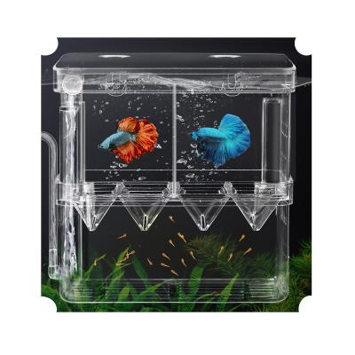 China Viable breeding box for aquarium pet guppy small fish double breeding for sale