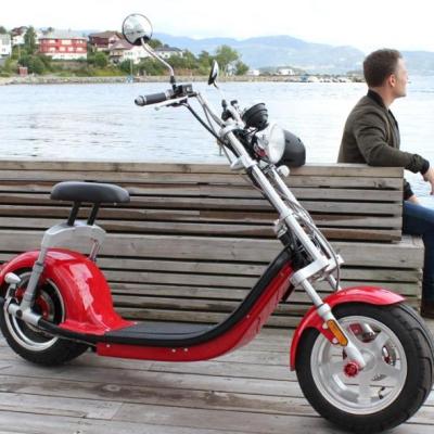 China Beautiful Design Unisex EU Warehouse Wholesale Electric Scooter EEC/COC Tire Citycoco Model EH03 for sale