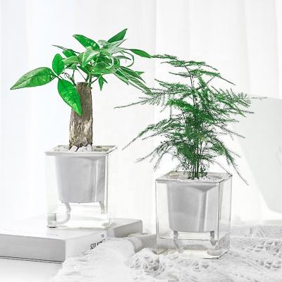 China Simple And Clean Indoor Decorative Plastic Self Watering Plant Flower Pot Automatic Water-absorbing Flower Pot for sale