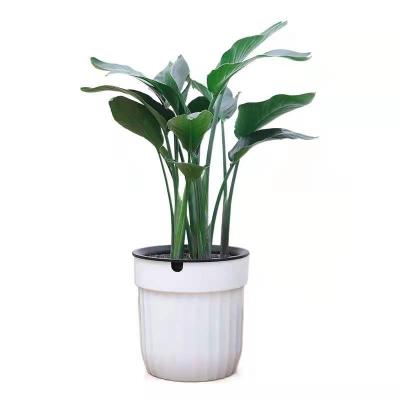 China Modern Round Plastic Resin Flower Pot Self Watering Recyclable Plant Hydroponic Flower Pot for sale